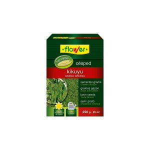 Graines de gazon kikuyu 250 gr 1-10793 fleur