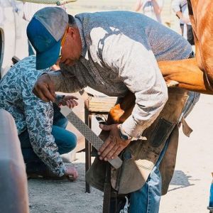 Lime &agrave; Sabots Cheval, 8 Pouces R&acirc;pe Sabot en Acier Au Carbone Fichier Fer &agrave; Cheval Ergonomique Outil Coupe Fer Cheval avec Poign&eacute;e Flexible pour