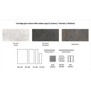 Carrelage gr&egrave;s c&eacute;rame effet ardoise LAGO Mosa&iuml;que 5x5 cm Gris clair - Naturel - bo&icirc;te de 0.44 m2 - Mosa&iuml;que 5x5 cm Gris clair - bo&icirc;te de 0.44 m2 - Mo