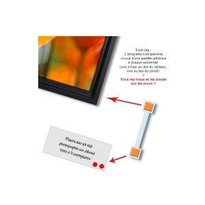 Expotag (pack de 100)
