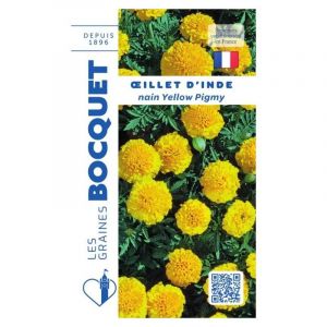 Oeillet d'Inde nain Yellow Pigmy jaune citron - 1,2g