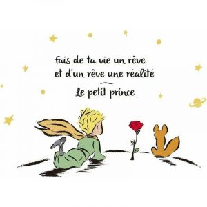 Autocollant Mural Le Petit Prince Stickers Muraux Citations Fais de ta Vie Un r&ecirc;ve D&eacute;coration Murale P&eacute;pini&egrave;re Chambre B&eacute;b&eacute; Enfant Garderie