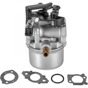 Simplicity - Carburateur pour nettoyeur haute pression Briggs & Stratton 8,75 cv 2 700-3 000 psi