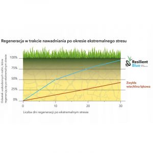 Graines de gazon Barenbrug RÉSILIENTES Robustes et faciles 5 kg DURABLES AU TRAVAIL