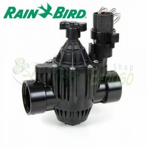 Rain Bird - 150-PGA-9V - 1' Électrovanne 1/2