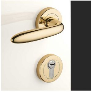 Ensemble de Poign&eacute;es sur Rosaces en Laiton - DCG - Mod&egrave;le Aster - Laiton Poli - Cl&eacute; Y