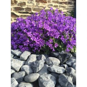 Galet Noir Mat 40-60 sac 20 Kg