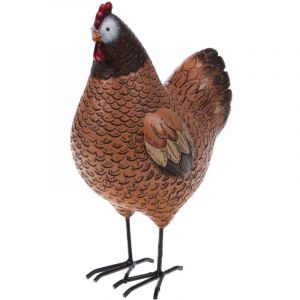 Poule Colette - Amadeus