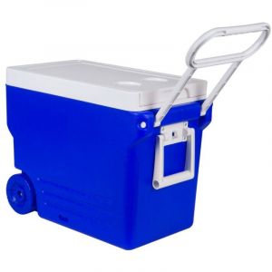 Glacière électrique portable 32L, Mini réfrigérateur, pour Voiture, Camping, Boîte réfrigérante, Glacière