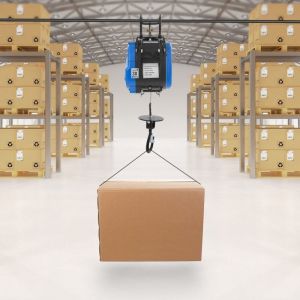 Grue &eacute;lectrique de 551 livres, &eacute;quip&eacute;e d'une t&eacute;l&eacute;commande sans fil, grue d'atelier, treuil &eacute;lectrique, puissance 1500 watts.