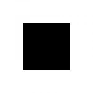 Rowenta - Electro-brosse 24V Air Force Extreme Aspirateur (RS-RH5419)