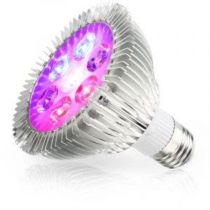 &Eacute;tau de souche de classement de tron&ccedil;onneuse, &eacute;tau de souche tron&ccedil;onneuse Universelle aff&ucirc;teuse Outil d'aff&ucirc;tage Pince de Barre de Guidage pour