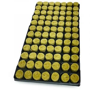 Plaque de 84 plugs en laine de roche - 37x40 mm - Semis et bouturages