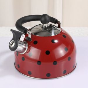 Bouilloire de Cuisine 2.5 L, Acier Inoxydable 201 Style Luxe, Sifflet Classique, Compatible Induction et Gaz, Poign&eacute;e Anti-Chaleur, pour Maison et