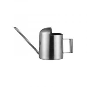 Bouilloire de douche en acier inoxydable longue bouche en métal jardinage plante verte bouilloire d'arrosage succulente petits enfants mini