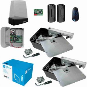 Kit d'automatisation de portail battant CAME 8K01MI-006 FROG-A24 Moteur enterr&eacute; 24 V