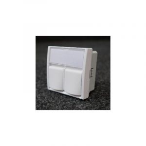 Schneider Electric - Enjoliveur pour prise double RJ45 Keystone-AMP blanc polaire 45x45mm altira