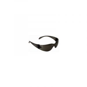 Lunettes panoramiques 590