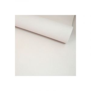 D&eacute;coweb - Papier peint expans&eacute; sur intiss&eacute; - Rose gold - Uni nude &agrave; paillettes - Rouleau(x)