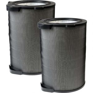 2x Filtres H12 compatible avec Electrolux PA91-404DG, PA91-404DGGY, Pure A9, Pure A9.2 purificateur d'air - Filtre de rechange - Vhbw