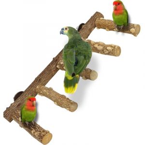 Perchoir en Bois Naturel pour Perroquet, perchoir &agrave; Oiseaux &eacute;tag&eacute;, Jouets pour Cage &agrave; Oiseaux de Petite et Moyenne Taille
