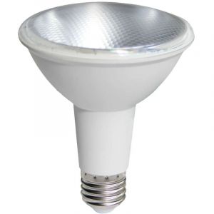 Ecolux - Ampoule led PAR30 E27 10W équivalent 60W IP65 - Blanc du Jour 6000K