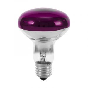 Omnilux - Eurolite 9210440U Ampoule halogène E27 réflecteur 60 w violet (ø x l) 80 mm x 110 mm 1 pc(s) S227762