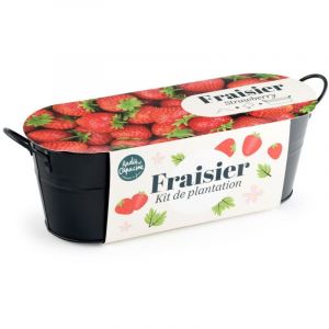 Jardinière zinc noir 30 cm - Fraisier