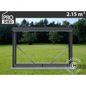 Dancover - Abri de stockage pour bois, 2,42x0,89x1,56m, 2,15m&sup2;, ProShed&reg;,
