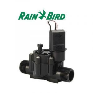 Electrovanne MM 1' Rain Bird 24 Volts S&eacute;rie DV