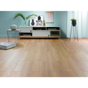 Eiffel Art Construction - Parquet stratifi&eacute; 12 mm namur solid plus