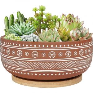 pot Pot de fleurs rond en terre cuite de 20 cm avec trou de drainage et plateau en bambou, pour plantes d'int&eacute;rieur
