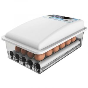 24 Couveuse à oeufs Couveuse à oeufs Couveuse à poulets entièrement automatique Couveuse à poulets entièrement automatique avec contrôle de la