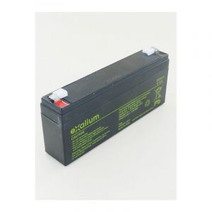 Batterie Plomb 6V 5Ah EXA5-6 Exalium
