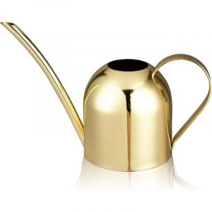 Arrosoir r&eacute;tro, arrosoir, arrosoir &agrave; une main, arrosoir r&eacute;tro en laiton, petit arrosoir, arrosoir en acier inoxydable, arrosoir en m&eacute;tal pour jardin
