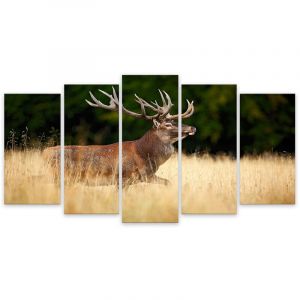 Tableau 5 parties animaux cerf se promenant - 150x80 cm