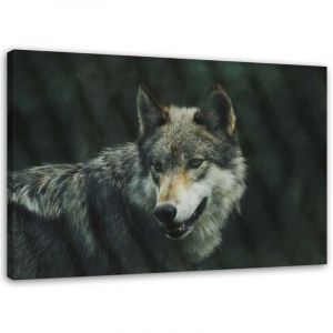 Cadre d&eacute;co Loup Nature Animaux 60x40