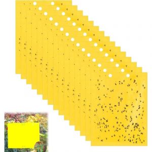 Pi&egrave;ges Collants Double Face, 20pcs Attrape-Mouches et Insectes, Efficaces et Faciles &agrave; Utiliser, Jaunes Adh&eacute;sifs pour Capturer Aleurodes, Moustiques,