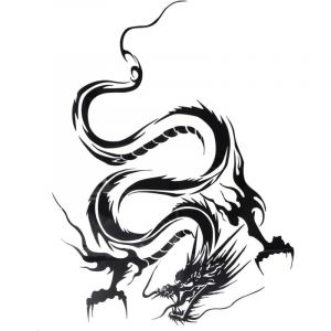 Autocollant graphique en vinyle pour capot de voiture, autocollant Dragon noir réfléchissant pour sports mécaniques, noir