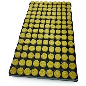 Plaque de 126 plugs en laine de roche - 28x40 mm - Semis et bouturages