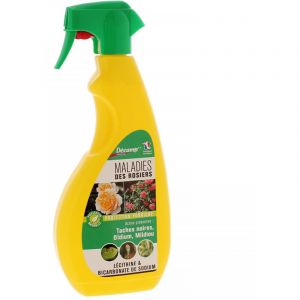 Traitement maladies des rosiers D&eacute;camp Radical - pulv&eacute;risateur 750ml
