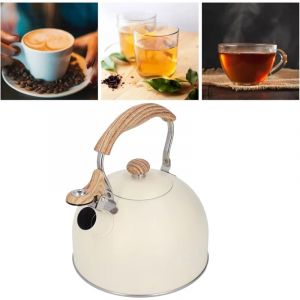 Dpzo - Bouilloire Sifflante, 2.5L Bouilloire Sifflante Induction Gaz Bouilloire En Acier Inoxydable Bouilloire Théière Sifflante Bouilloire a Sifflet