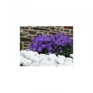 Galet Blanc Brillant 40-60 sac 20 Kg