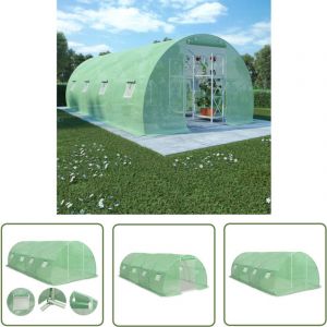 Vidaxl - The Living Store Serre 18 m&sup2; 600x300x200 cm - Serre De Jardin - Abri Jardin - Protection Plantes - Serrez Verdure - Tunnel Plastique