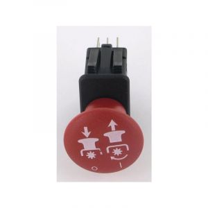 Interrupteur AYP FGP454301