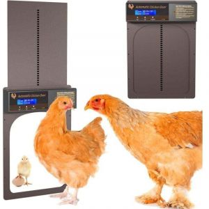 Automatic Chicken Coop Door, Automatic Chicken Coop Door with Waterproof Programmable LCD Screen, Ideal for automating the opening and closing of a