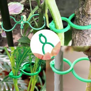 Attache Plante de Jardin Support pour Plantes Clips avec Fermoir,50 Pièces Réutilisables Pinces à Clip Tomate en Plastique, Tuteur Orchidee Durables