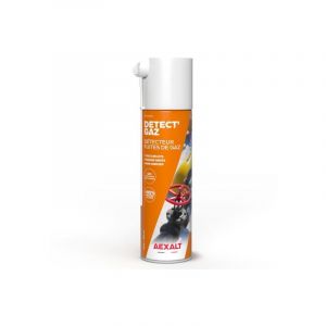 Détecteur de fuites de gaz, Detectgaz, 650 ml Aexalt 1588