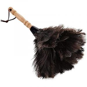 Jormftte - Plumeaux pour la maison et le bureau, plumes d'autruche, plumeaux d'autruche, plumes d'autruche naturelles