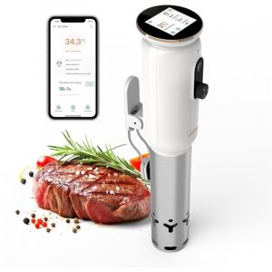 Thermoplongeur sous vide INKBIRD ISV-101W cuiseur vapeur 1000W chauffage &agrave; circulation d'eau 3D WiFi avec application &Eacute;cran TFT